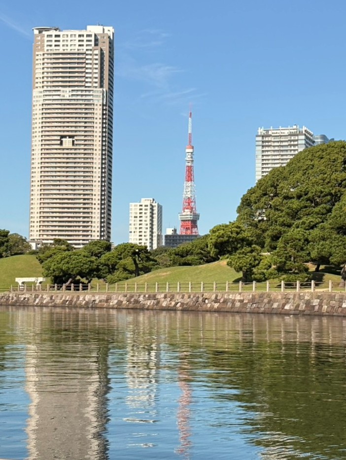 東京湾から見る東京タワー　メズム東京×東京キャナルネットワーク「モーニングクルーズ」