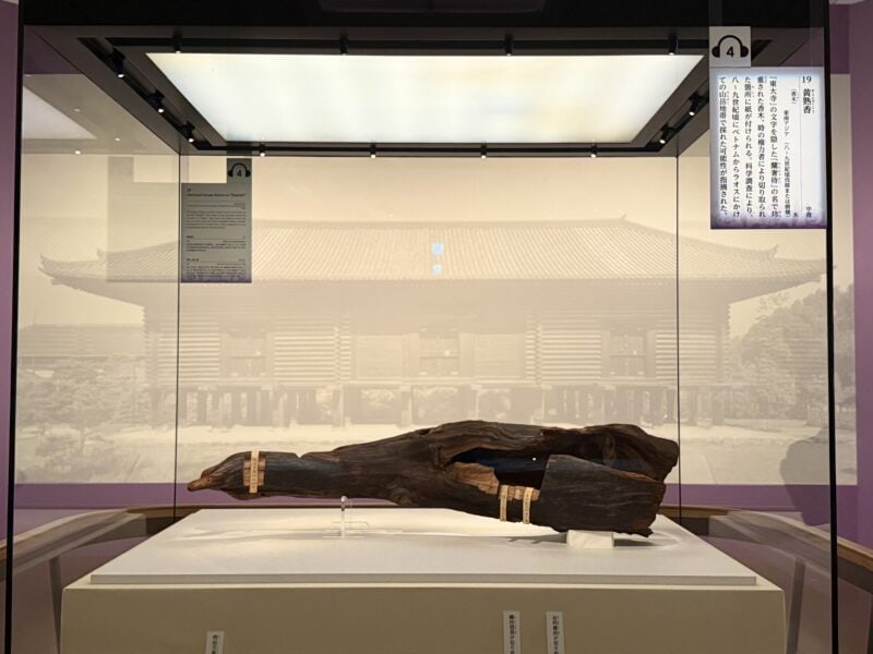 第77回正倉院展　中倉135「黄熟香（おうじゅくこう）」