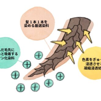 50の恵 頭皮いたわりカラートリートメントの染まり方