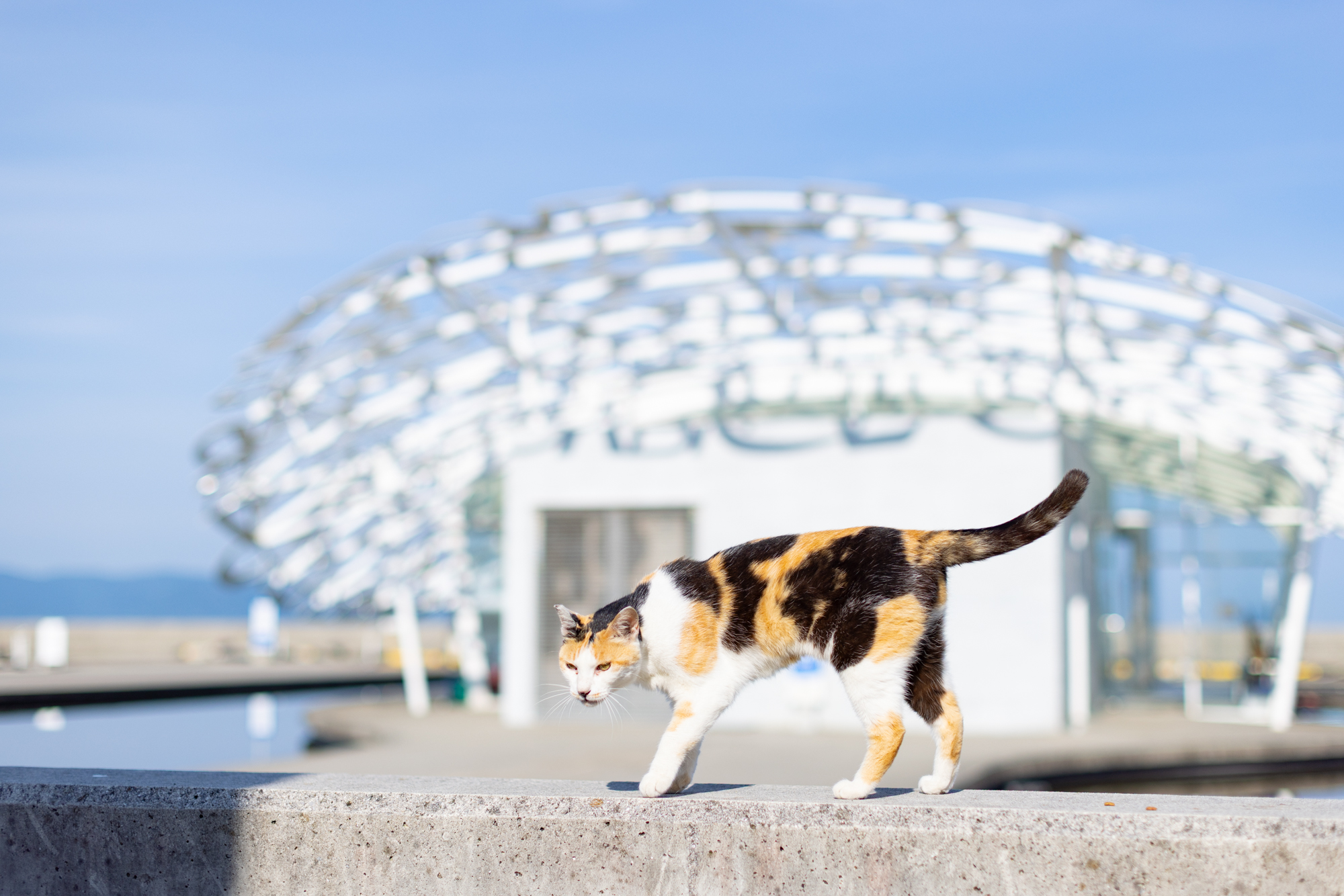 カメラ旅 in男木島