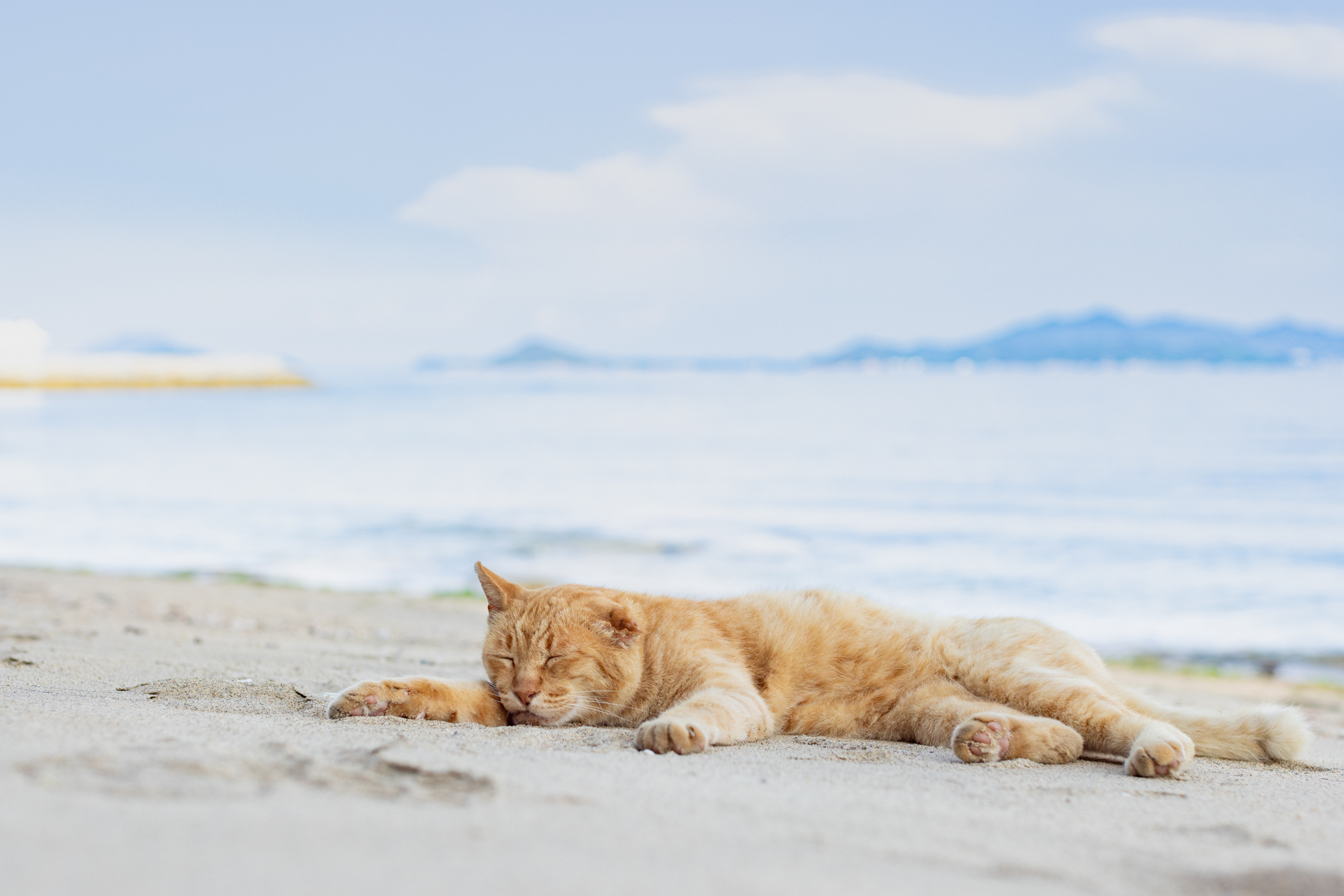 カメラ旅 in男木島