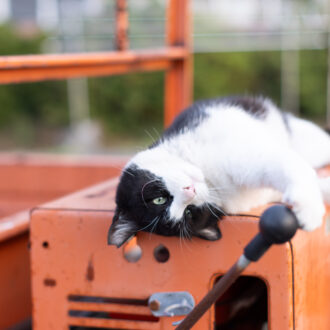 カメラ旅 in男木島