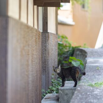 カメラ旅 in男木島