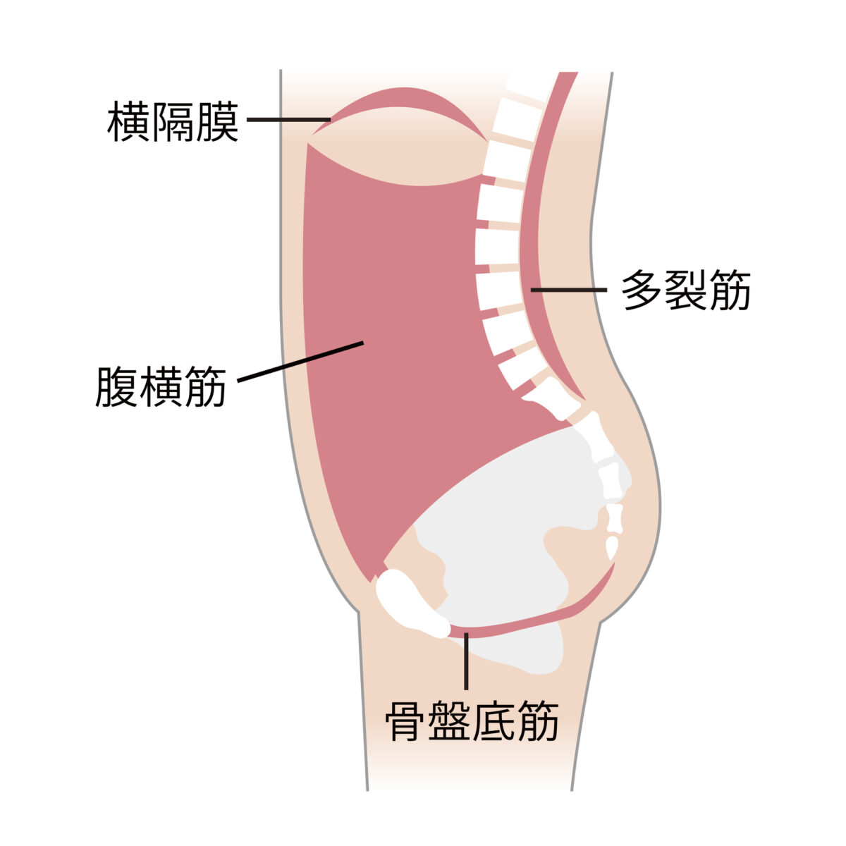 インナーユニットを鍛えるトレーニング