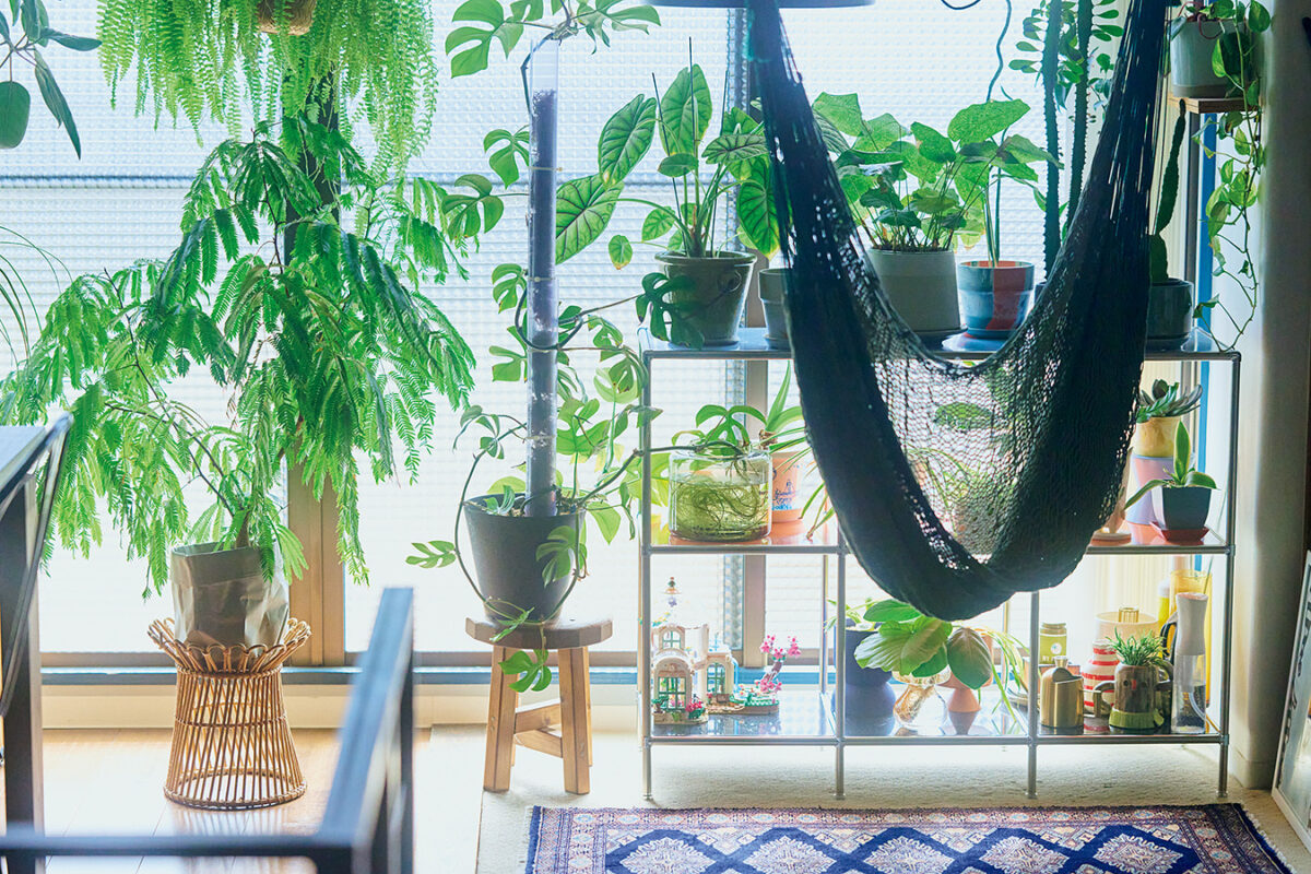 グリーンは鉢台や棚を使って空間にバランスよく配置