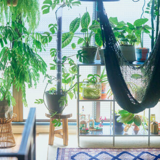 グリーンは鉢台や棚を使って空間にバランスよく配置