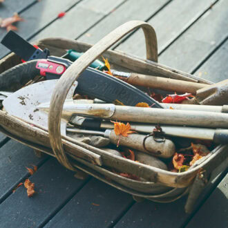 カゴの中には「今日、このあと植える予定なんです」というムスカリの球根が200個ほど。春先にブドウのような形状の青い花を咲かせる。