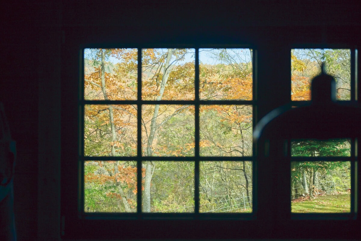 キッチンの窓は「野鳥の森」を望み、鳥たちのさえずりを運んでくる。