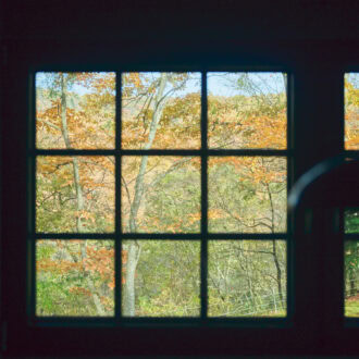 キッチンの窓は「野鳥の森」を望み、鳥たちのさえずりを運んでくる。