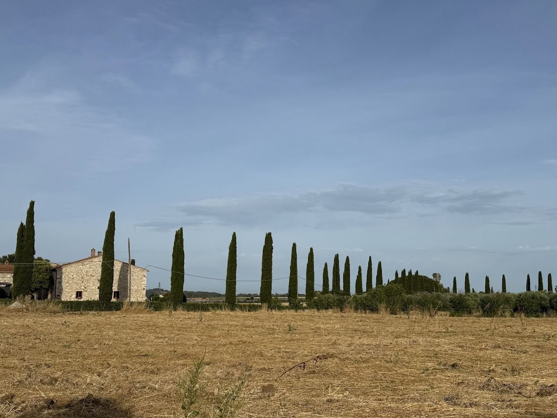 【50代からの「整う」ヨーロッパ便り】これぞトスカーナな風景