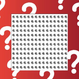 【3分脳活】
1つだけ仲間外れの漢字はどれ？⑰