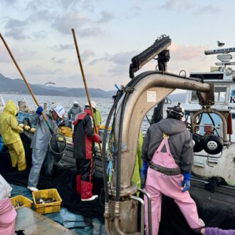 海の京都　養老漁港　定置網漁体験02