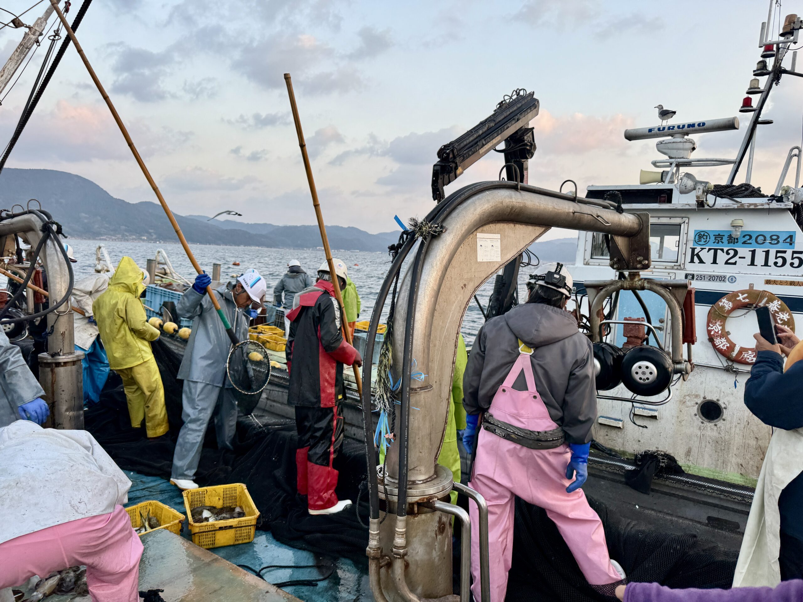 海の京都　養老漁港　定置網漁体験02
