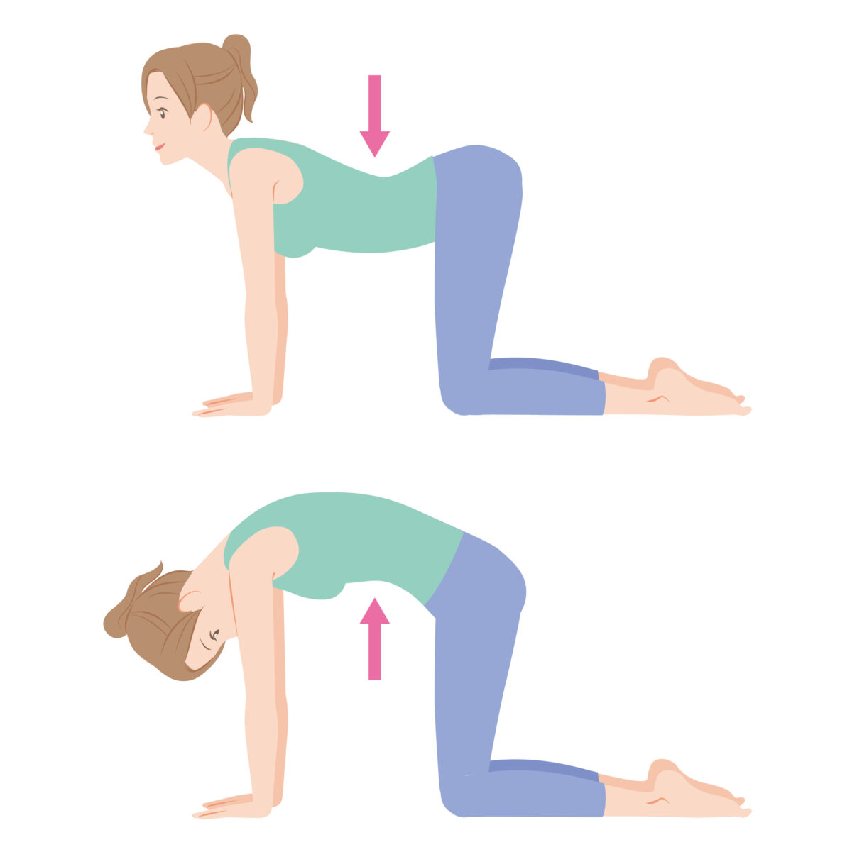 キャットアンドカウ(ヨガ)