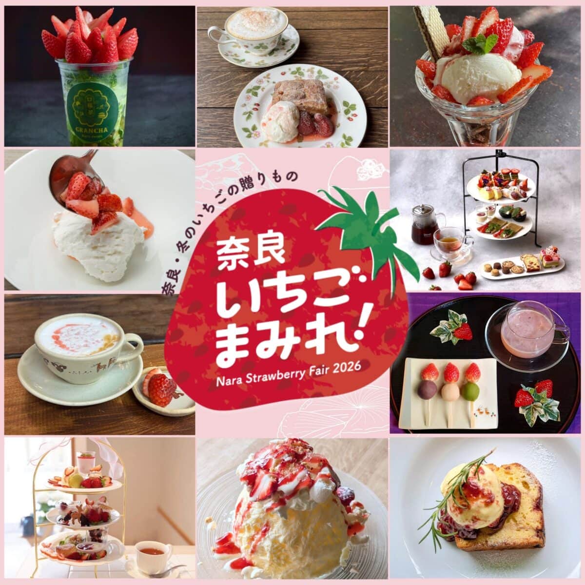 写真提供:奈良市観光協会 ※イメージ (奈良いちごまみれ!)