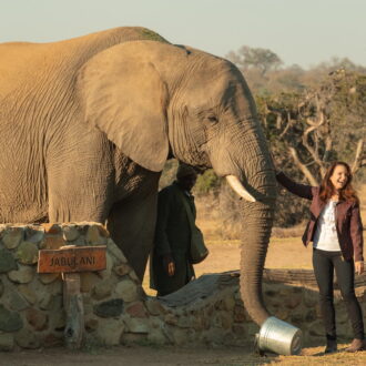 アフリカへの旅が人生を変える。Netflix映画『ホリデイ・イン・ザ・ワイルド』独占配信中