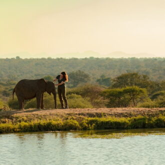孤児となった小象の救助に関わることで生きがいを見つけるヒロイン。Netflix映画『ホリデイ・イン・ザ・ワイルド』独占配信中