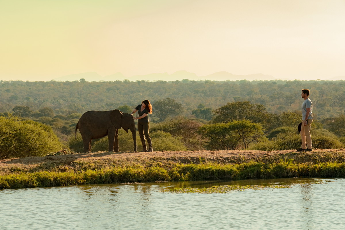 孤児となった小象の救助に関わることで生きがいを見つけるヒロイン。Netflix映画『ホリデイ・イン・ザ・ワイルド』独占配信中