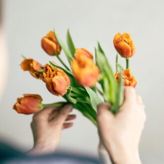 新しい季節のはじまり「立春」は、チューリップとともに