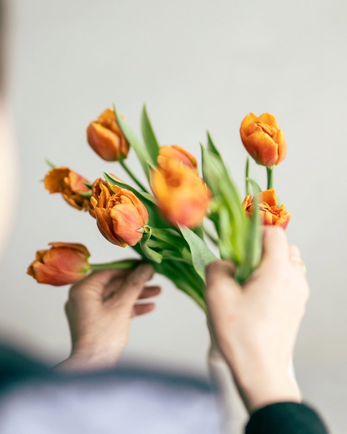 新しい季節のはじまり「立春」は、チューリップとともに