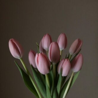 ニュアンスのある色や、何色もグラデーションに重なった色を持つ品種があり、とてもシックな表情を持つ花。