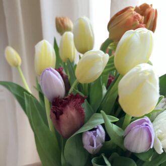 春の訪れを感じさせてくれるチューリップ