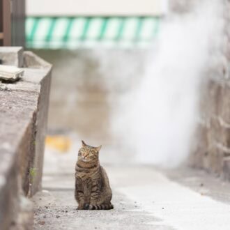 【50代のソロ旅 in大分】