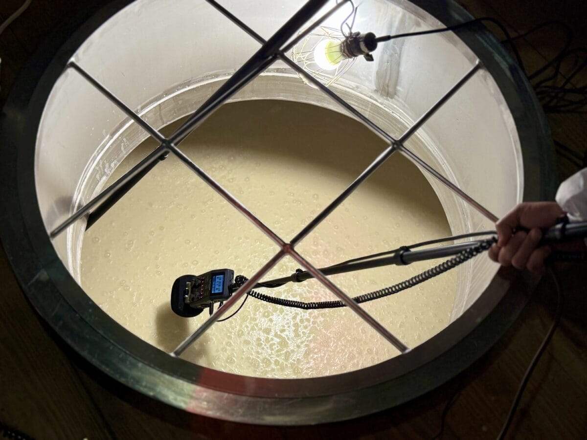 徳島・鳴門　本家松浦酒造　09