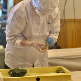 「柿の葉フェア 2026」08