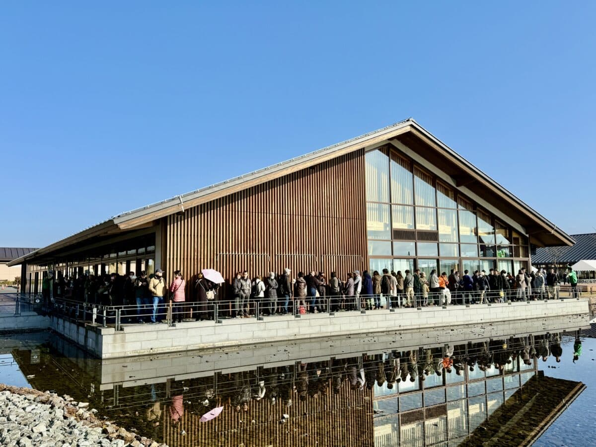 「柿の葉フェア 2026」09