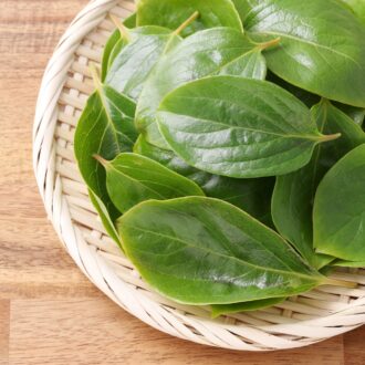 柿の葉　※イメージ