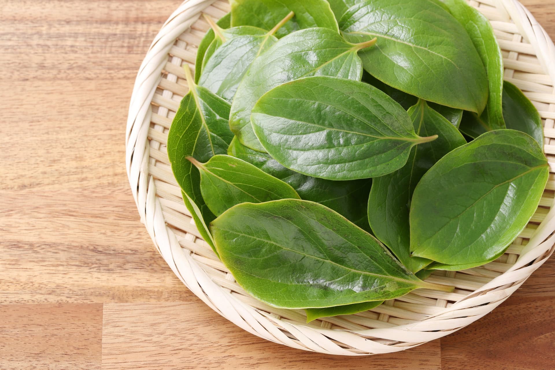 柿の葉　※イメージ