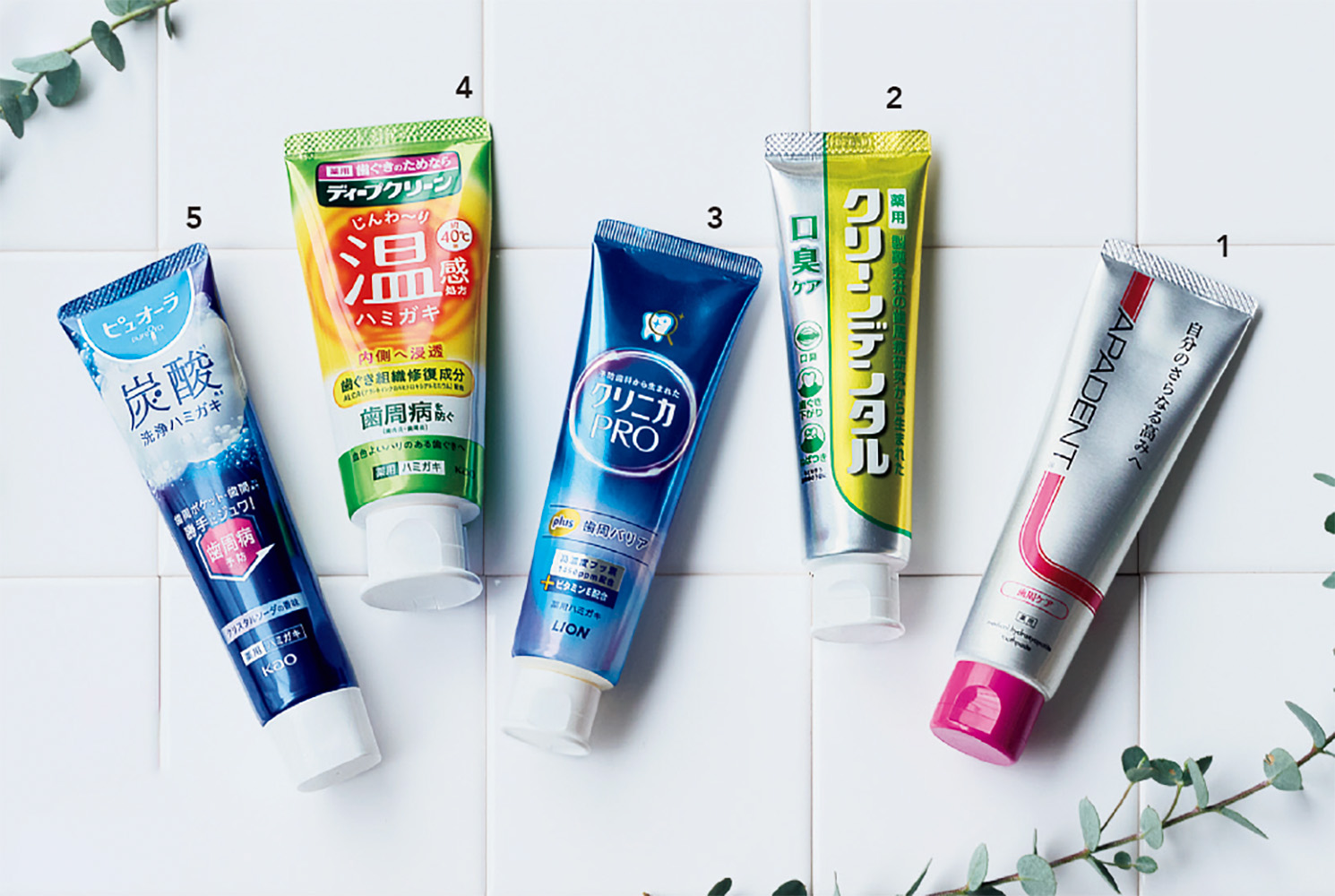 1. 歯の表面のエナメル質を整え健やかな歯に導く 歯の再石灰化によりむし歯を予防する成分・薬用ハイドロキシアパタイトを配合。殺菌・抗炎症・引き締め作用で、歯周病を予防します。 アパデント 歯周ケア【医薬部外品】100g ¥2,068円／サンギ 2. 口臭防止成分を配合爽やかなレモンフレーバー 歯周病にくわえて虫歯も予防する10種の薬用成分と、におい成分を吸着して口臭を予防するゼオライトを配合。 クリーンデンタル口臭ケア【医薬部外品】100g ¥1,452（編集部調べ）／第一三共ヘルスケア 3. 酵素の力で歯垢を分解バリア機能を高める お口のリスクの原因である歯垢を分解・除去する酵素を配合。 歯ブラシが届かないすみずみまでの歯垢を除去する薬用歯磨き。 クリニカPRO plus 歯周バリア【医薬部外品】95g ¥720（編集部調べ）／ライオン 4. 約40℃でポカポカ成分がじんわり奥まで届く 水や唾液と触れることで発熱する成分が配合され、温かさが約3分持続。 組織修復成分がじんわり奥まで届く処方。 ディープクリーン 薬用温感ハミガキ【医薬部外品】 85g¥1,375（編集部調べ）／花王 5. 炭酸の泡がじわりすみずみまで洗浄 水に触れると炭酸泡がじゅわっと発泡し、歯周ポケットや歯間までじわりと入り込み隅々まで洗浄。抗炎症成分BGA配合。 ピュオーラ 炭酸ハミガキ 95ｇ【医薬部外品】 ¥825（編集部調べ）／花王