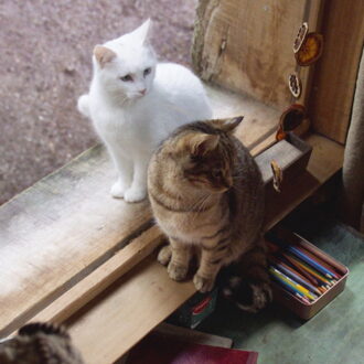 子猫は森の中で白猫と出会います。『ルー、パリで生まれた猫』© 2023 MC4–ORANGE STUDIO–JMH & FILO FILMS