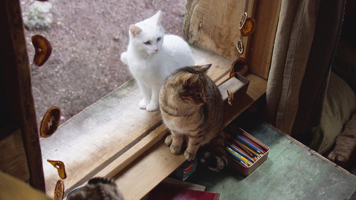 子猫は森の中で白猫と出会います。『ルー、パリで生まれた猫』© 2023 MC4–ORANGE STUDIO–JMH & FILO FILMS