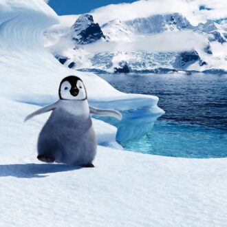 第79回アカデミー賞の長編アニメーション賞を受賞した『ハッピー フィート』Happy Feet TM & © 2006 Village Roadshow Films (BVI) Limited. © 2006 Warner Bros. Entertainment Inc. All rights reserved.