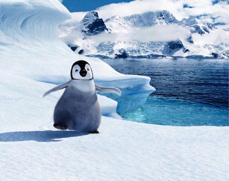 第79回アカデミー賞の長編アニメーション賞を受賞した『ハッピー フィート』Happy Feet TM & © 2006 Village Roadshow Films (BVI) Limited. © 2006 Warner Bros. Entertainment Inc. All rights reserved.