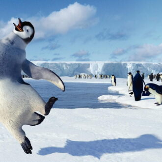 マンブルの声優はイライジャ・ウッドで、日本語吹替では手越祐也が務めた。『ハッピー フィート』Happy Feet TM & © 2006 Village Roadshow Films (BVI) Limited. © 2006 Warner Bros. Entertainment Inc. All rights reserved.