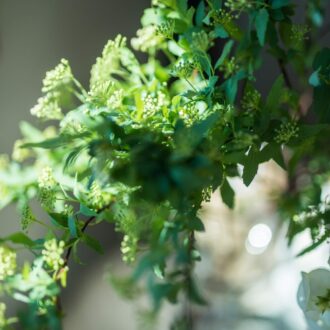 ユーカリやミモザ、ゆきやなぎ、こでまりといった春のグリーンに心が躍ります。