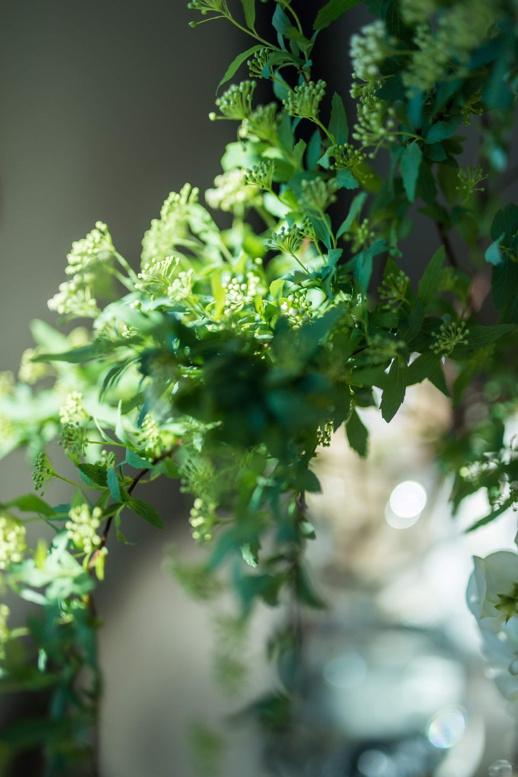 ユーカリやミモザ、ゆきやなぎ、こでまりといった春のグリーンに心が躍ります。