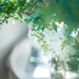 日永の季節。うつろう心と光と花のこと【連載vol.7 ー今日花(こんにちばな)通信ー】