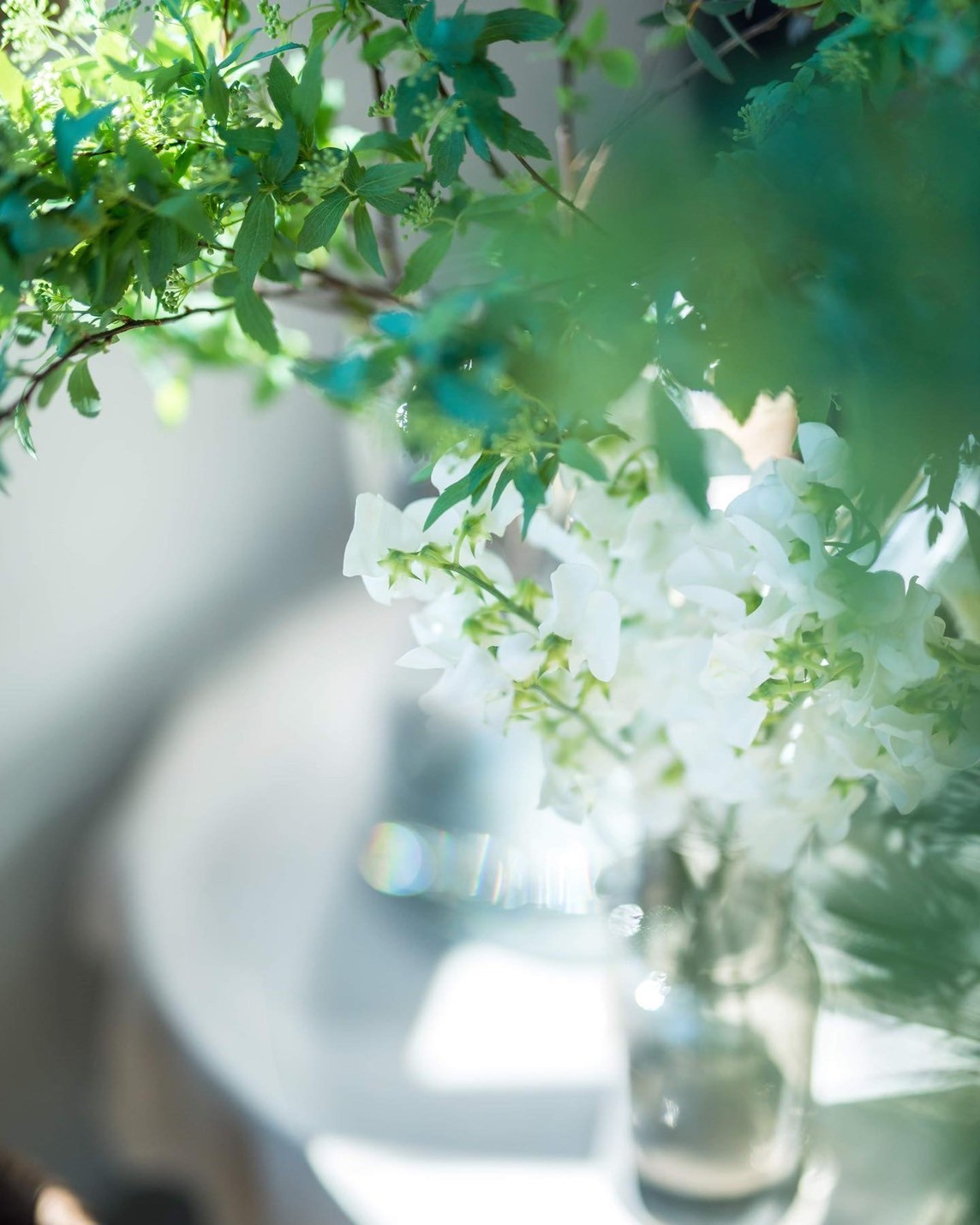 うつろう心と光と花のこと