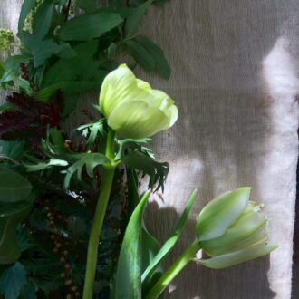 ときには花を寝かせて、陰影を楽しんでも