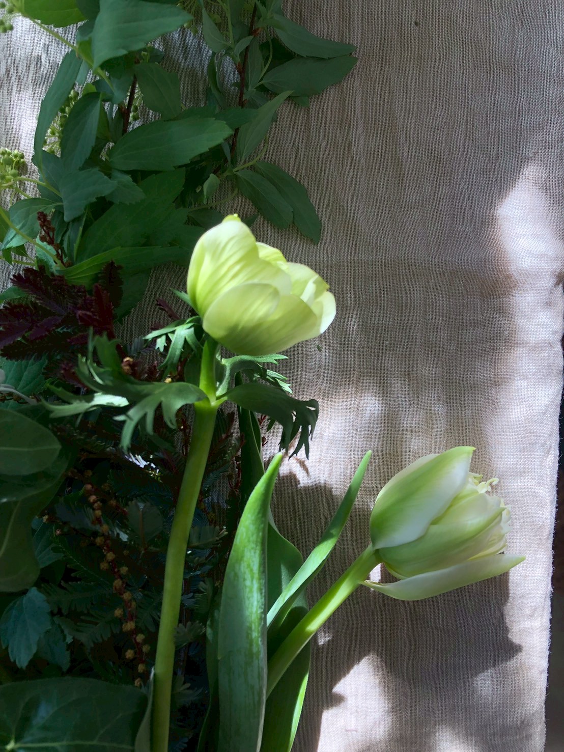 ときには花を寝かせて、陰影を楽しんでも