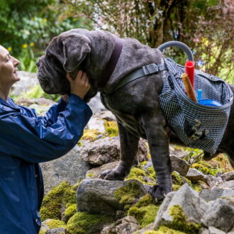 森で暮らす「魔女」と犬も登場。『ルー、パリで生まれた猫』© 2023 MC4–ORANGE STUDIO–JMH & FILO FILMS