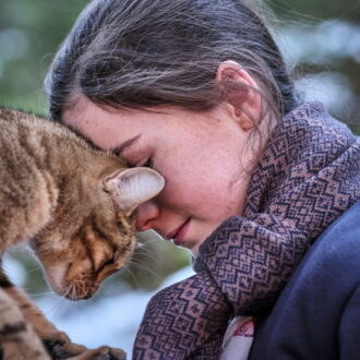 子猫は外の世界へ興味を持ち始め……。『ルー、パリで生まれた猫』© 2023 MC4–ORANGE STUDIO–JMH & FILO FILMS