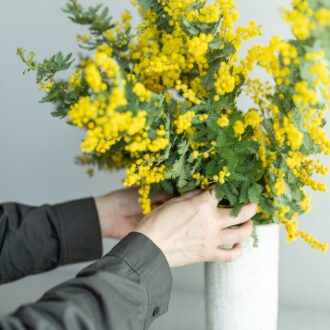 ミモザをいける。元気がほしい日は、明るい黄色の花に目がいくことも