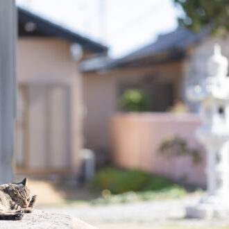 猫旅 in相島