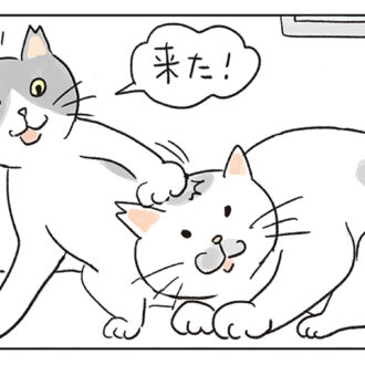 猫マンガ『ねころびもひとしお』
第52話『ある意味、平和な日常』（２匹の地域ねこ）