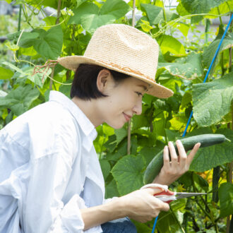 【50代の趣味】初心者向け家庭菜園におすすめの野菜と成功までのステップを解説